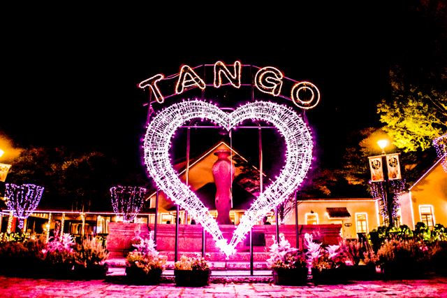 https://tango-kingdom.com/userfiles/image/1437717594.jpg