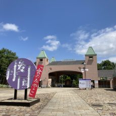 メインゲート④